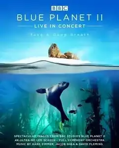 ლურჯი პლანეტა 2 ქართულად - (2017)