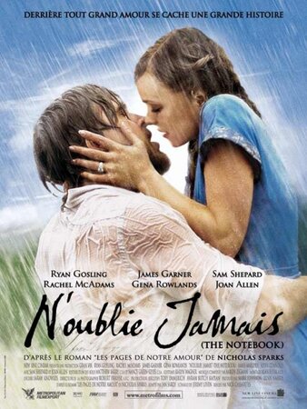 უბის წიგნაკი (ქართულად) / ubis wignaki (qartulad) / The Notebook