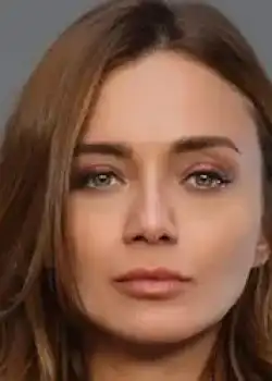 დამლა სონმეზი