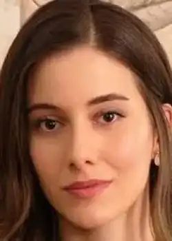 ბერილ პოზამი